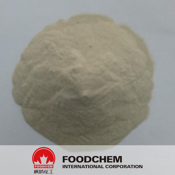 Ferrous Lactate suppliers